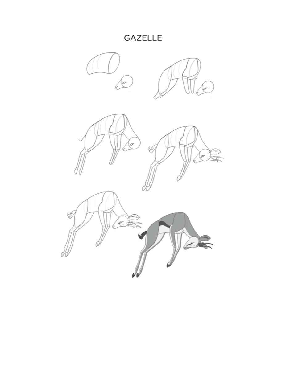 Cartoon Gazelle Complete Drawing Progression HD