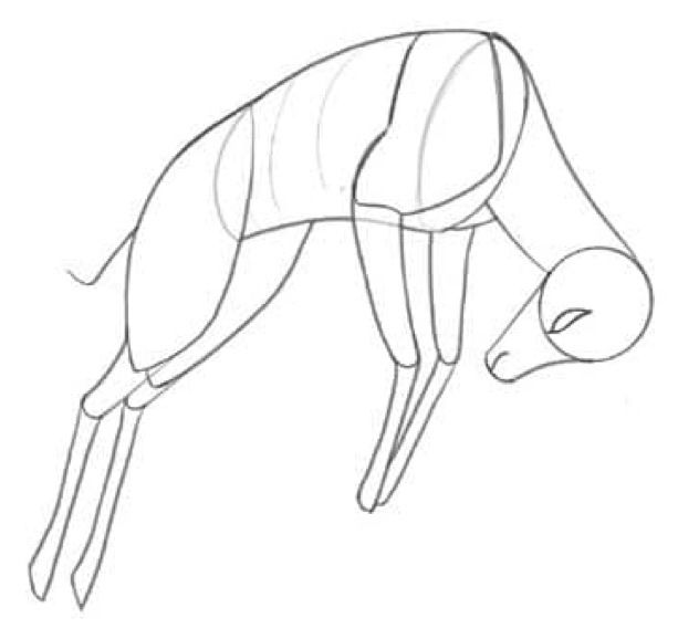 Step 3: Leg Extension and Joint Mechanics HD