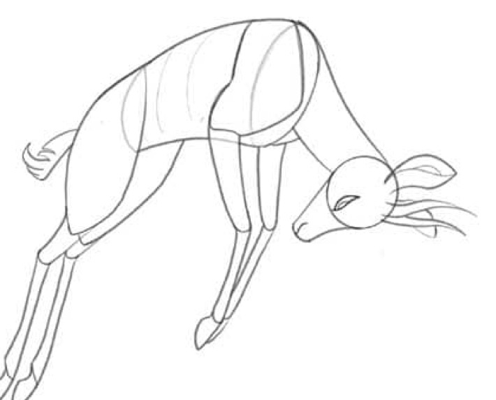 Step 4: Horns, Ears, and Facial Anatomy HD