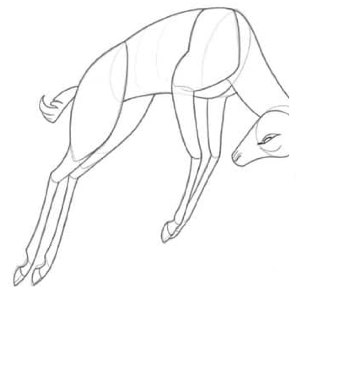 Step 5: Clean Contour and Line Art Polish HD