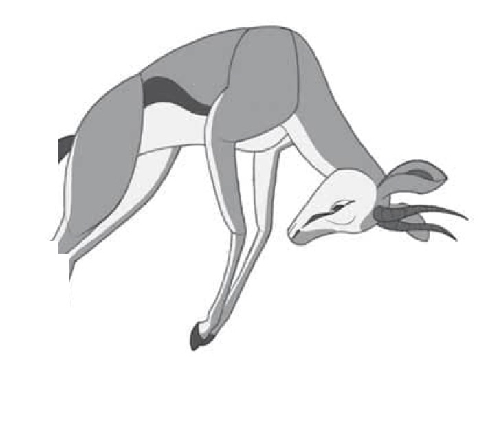 Craftytalks Cartoon Gazelle Step 6 Hd - CraftyTalks Tutorial Step