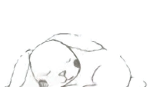 Sleeping pose