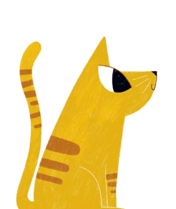 Cute Yellow Tabby Cat Sitting Upright Variation HD