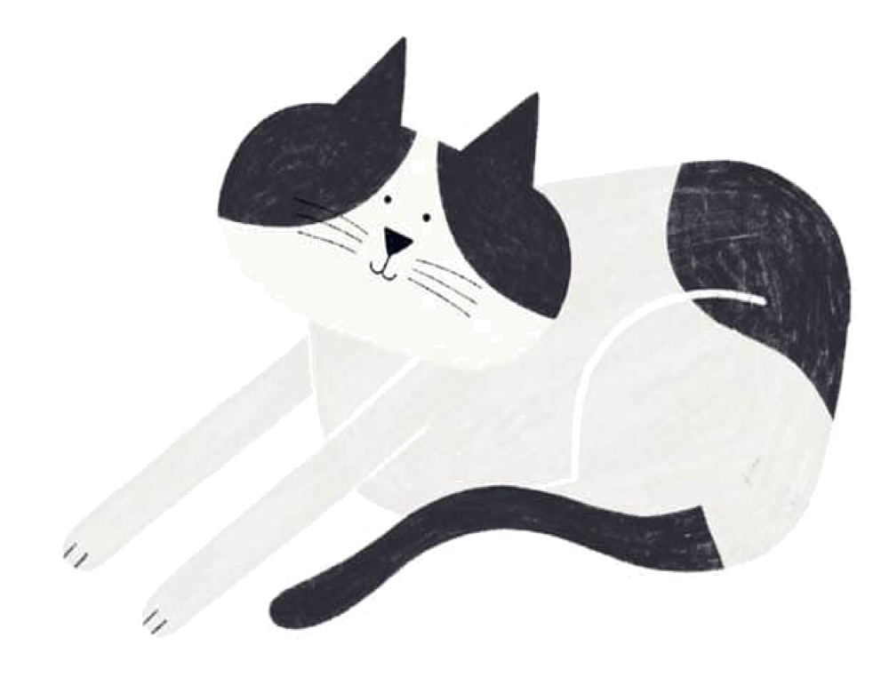 Cute Tuxedo Cat Stretching Variation HD