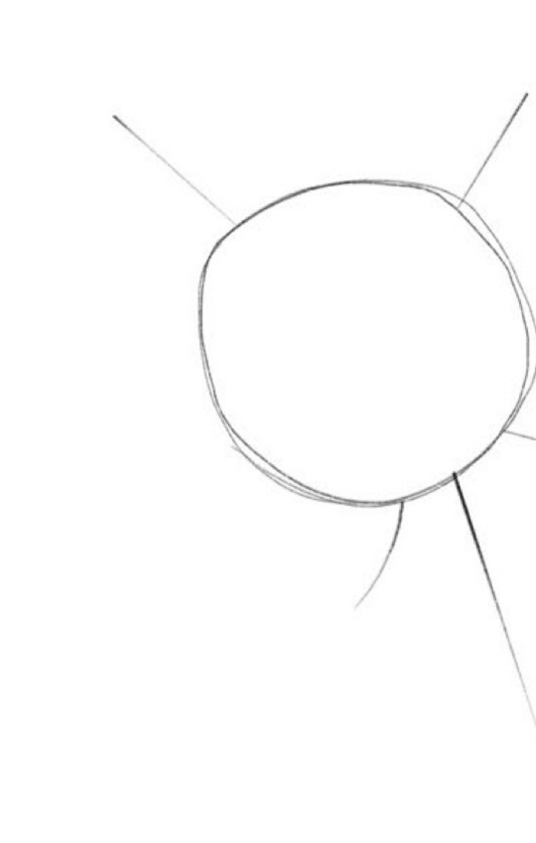 Step 1 circular scaffolding and radiating leaf guidelines