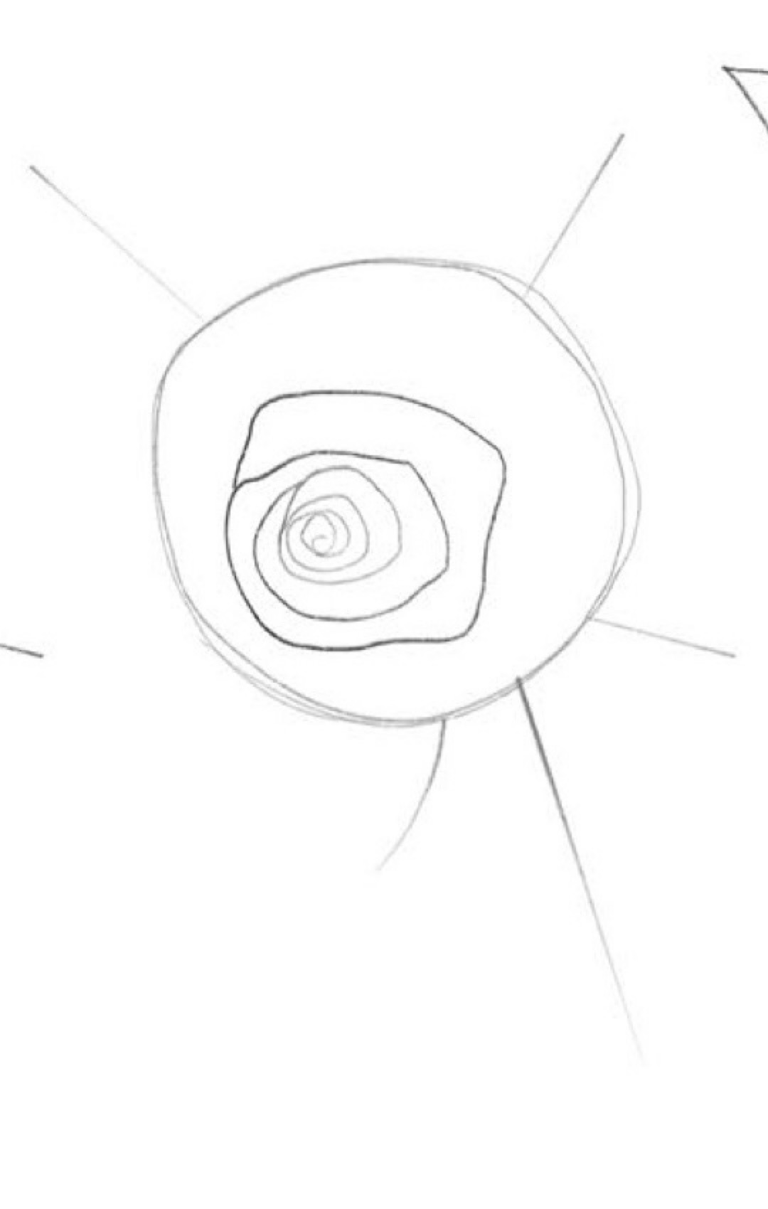 Step 2 central spiral bud and inner cup petals