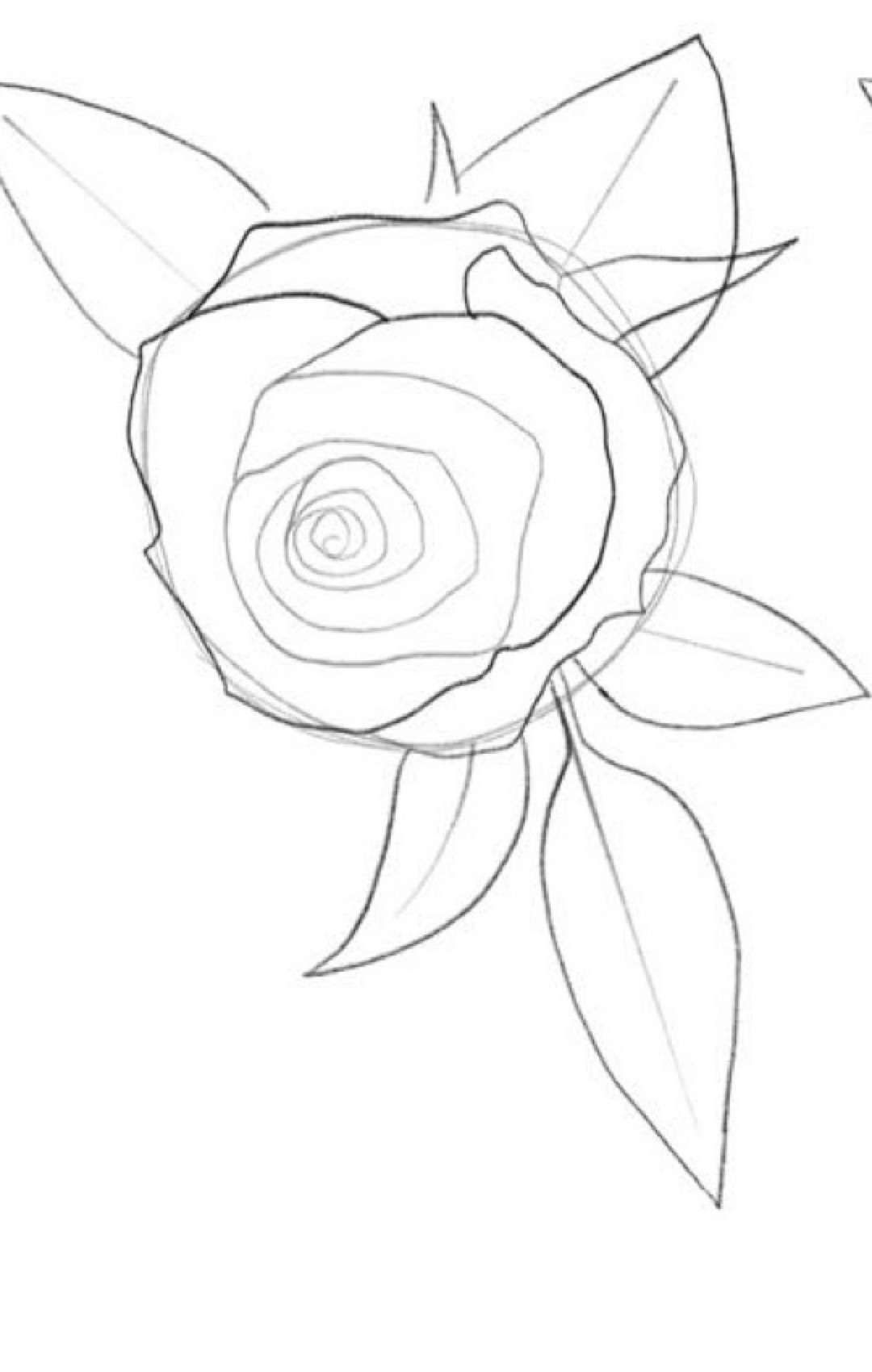 Step 3 expanding concentric petal cups and ovate leaf guides