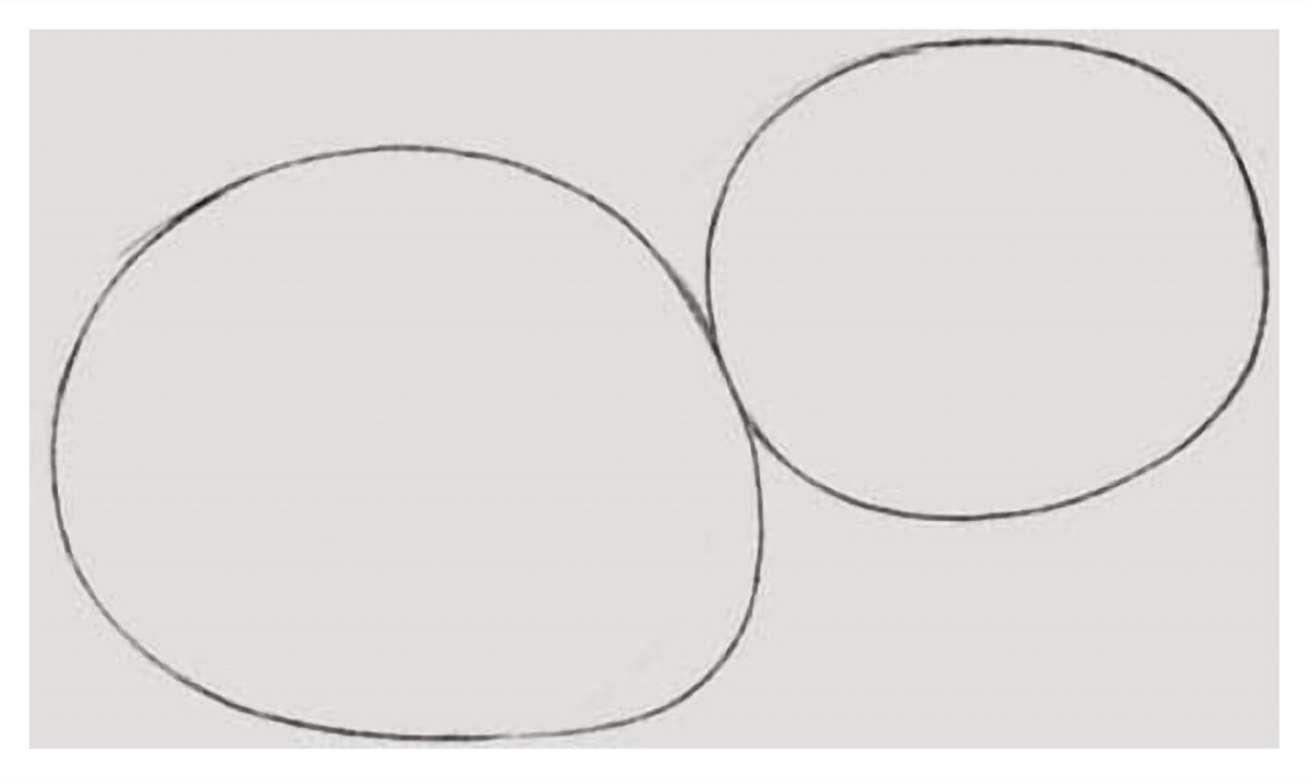 How to Draw a Capybara Step 1 Two Circles