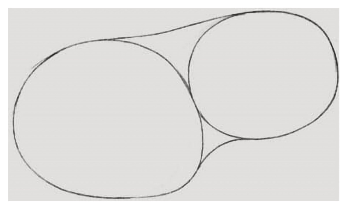 How to Draw a Capybara Step 2 Connecting Curves
