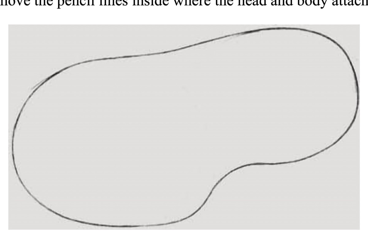 How to Draw a Capybara Step 3 Erase Inner Lines
