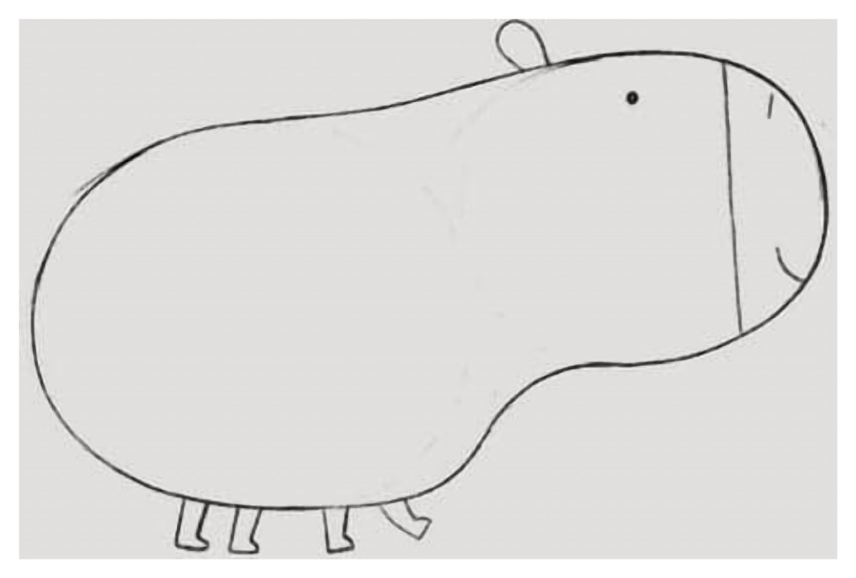 How to Draw a Capybara Step 5 Face Details and Muzzle