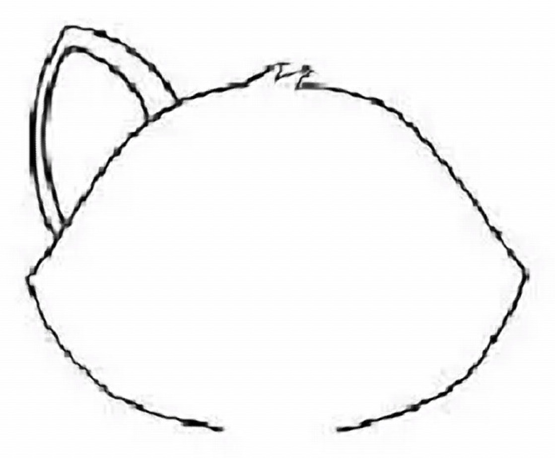 How to Draw a Red Fox Step 1 Head and Ears