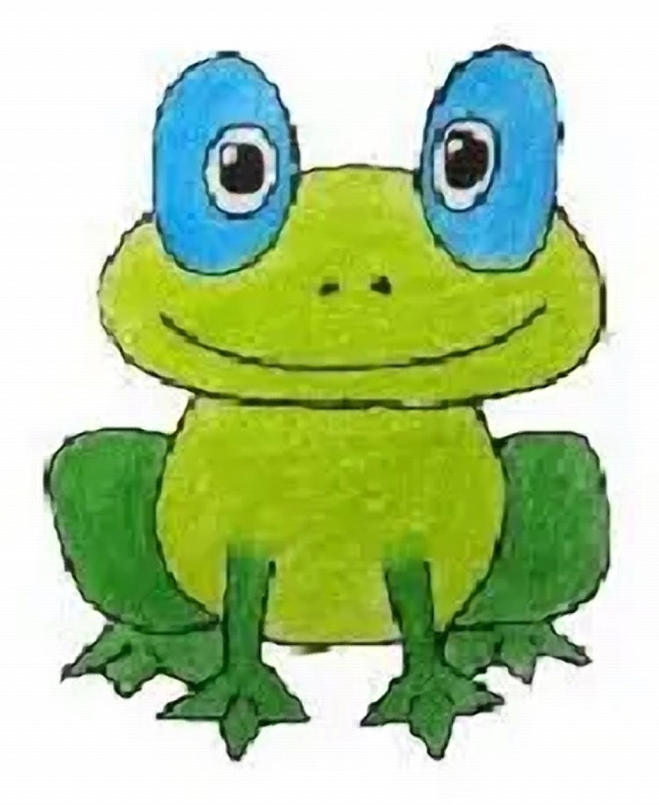 Finished Green Tree Frog Illustration