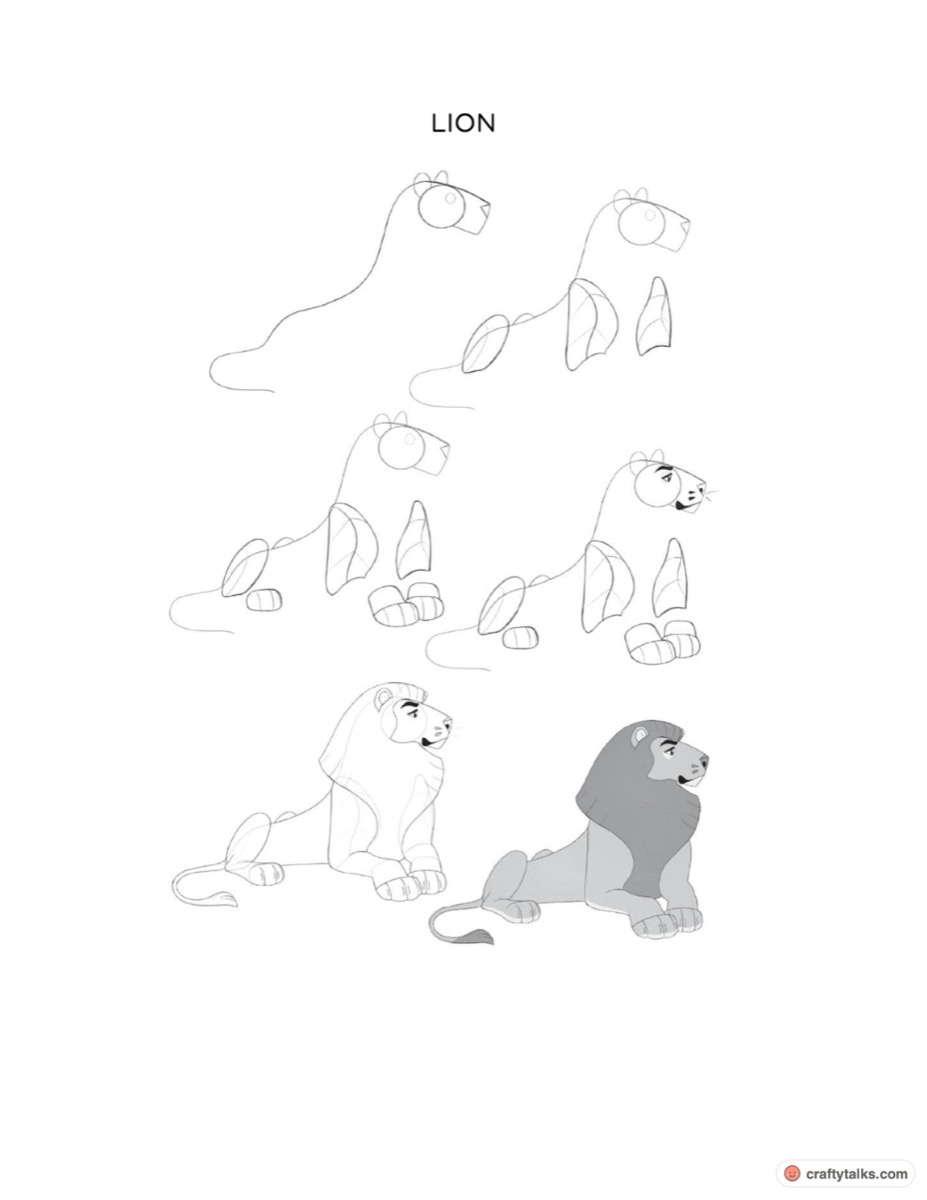 How to draw a cartoon lion complete 6-step breakdown chart