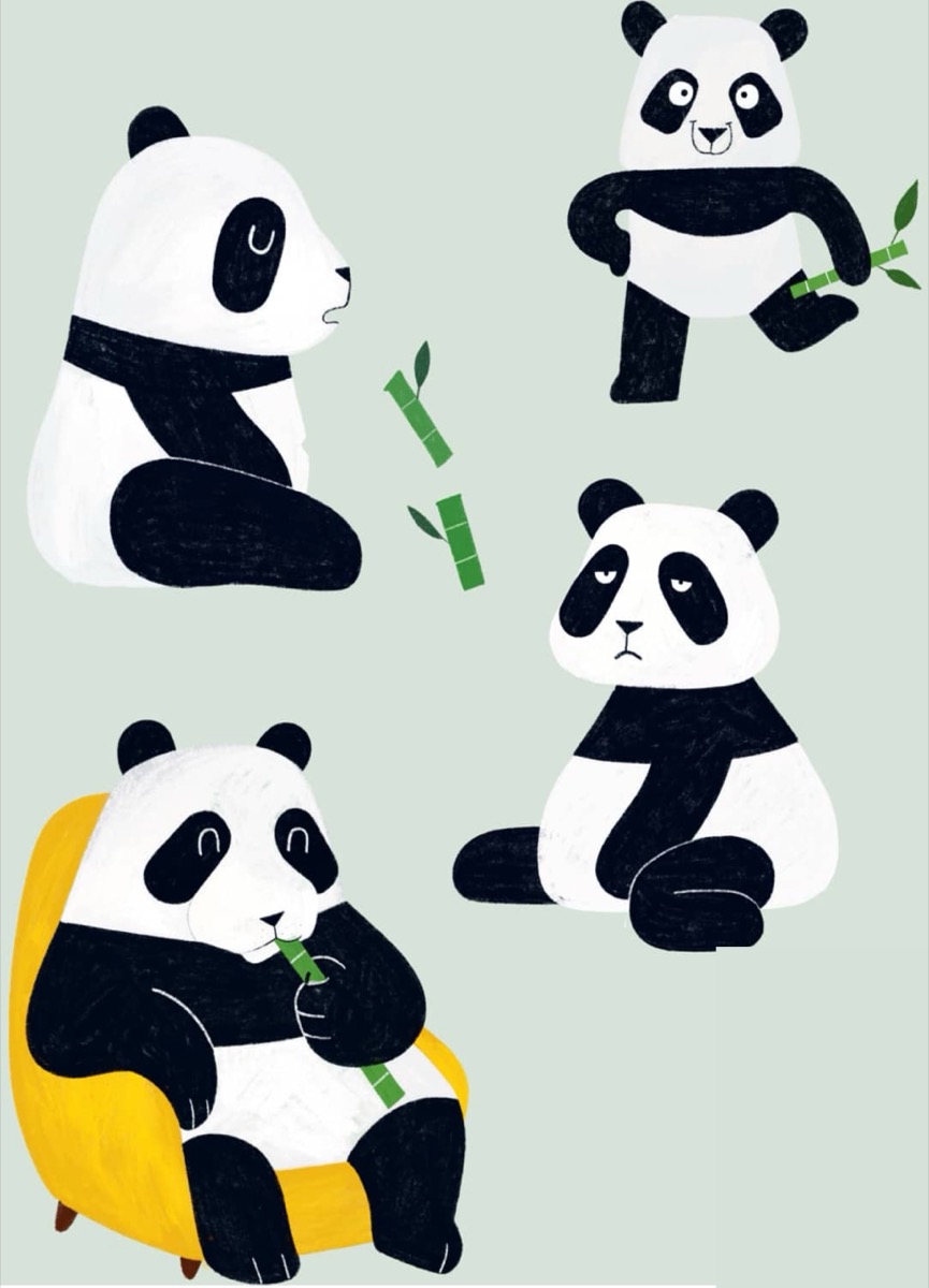 Bonus Panda Poses: Armchair, Cross Legged, and Side Sitting