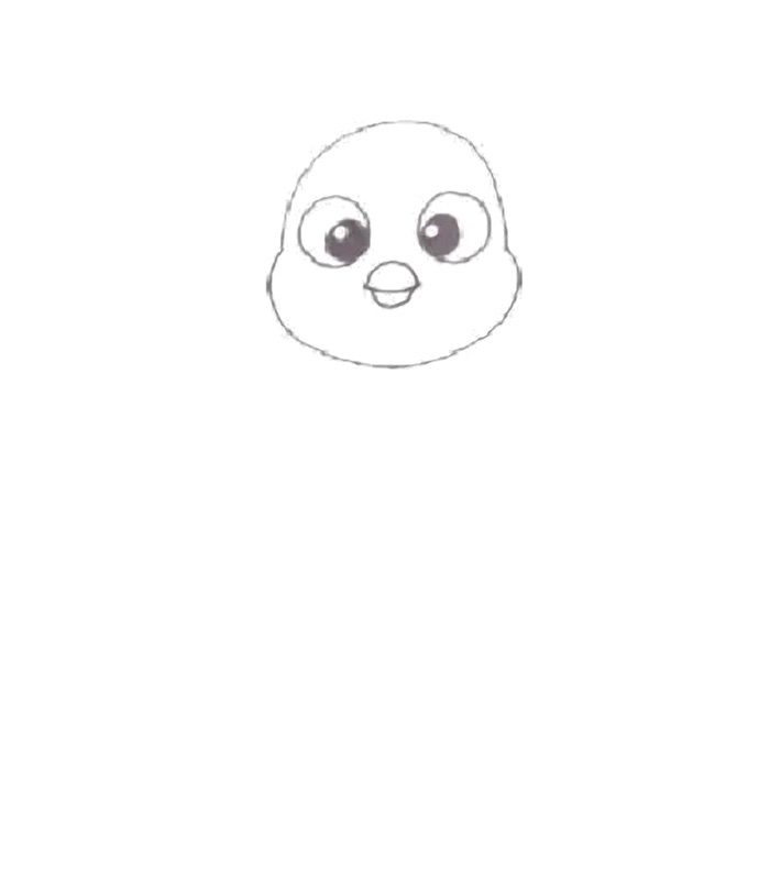 How to Draw a Cute Baby Penguin Step 2: Head Contour
