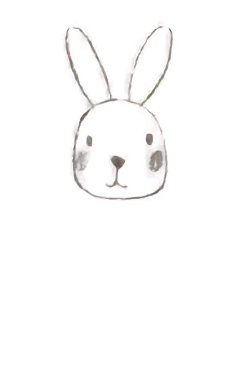How to Draw a Cute Bunny Step 3: Fresh rolls ears