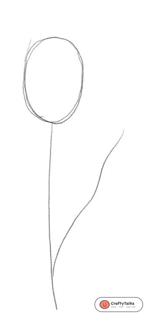 Step 1: The Blossom Egg & Stalk Gesture Line - how to draw a realistic tulip