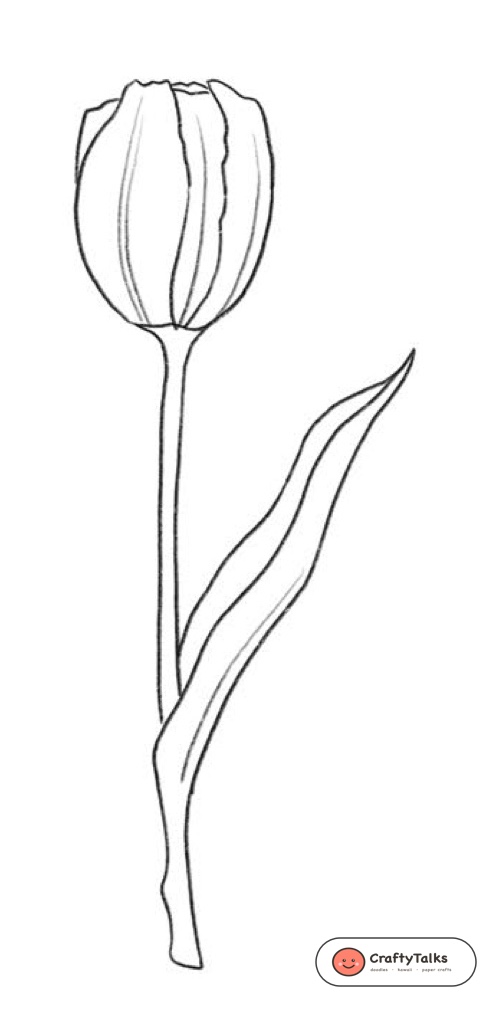 Step 4: Scalloped Petal Edges & Leaf Crest Contour - how to draw a realistic tulip