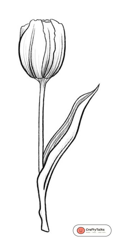Step 6: Botanical Shading & Fine Vein Striations - how to draw a realistic tulip