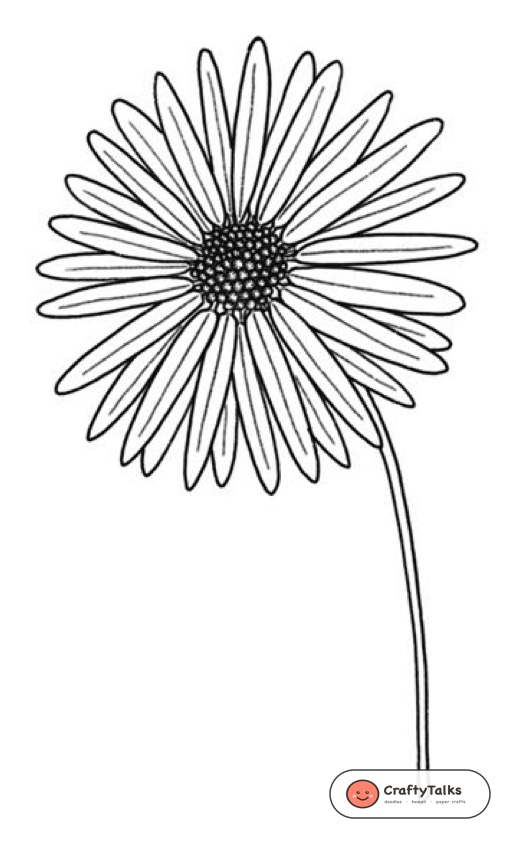 Step 7: Inking Contours & Erasing Guide Armature - how to draw a realistic daisy