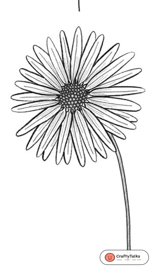 Step 8: Botanical Shading, Petal Veins & Finished Study - how to draw a realistic daisy