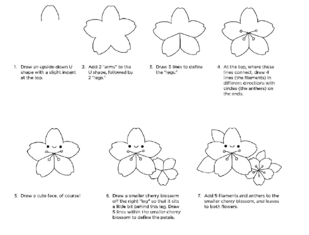 How to Draw a Cute Cherry Blossom Doodle in 7 Easy Steps Visual Guide