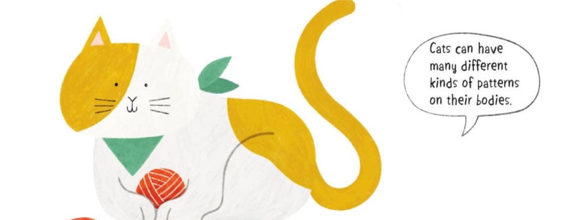 Cute cat with bandana and ball of yarn illustrating story accessories by Heegyum Kim